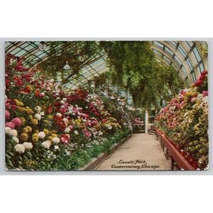 Lincoln Park Conservatory Chicago Vintage Postcard Flowers Garden Greenhouse
